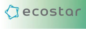 Компания «Ecostar»
